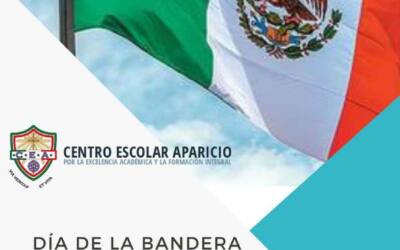 Día de la bandera 2021, Secundaria