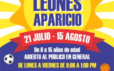 Cursos de Verano 2025